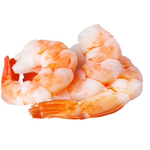 Xtra Kung Prawn เพิ่ม กุ้ง