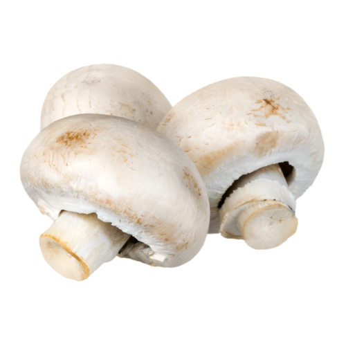 Xtra Mushroom เพิ่ม เห็ด